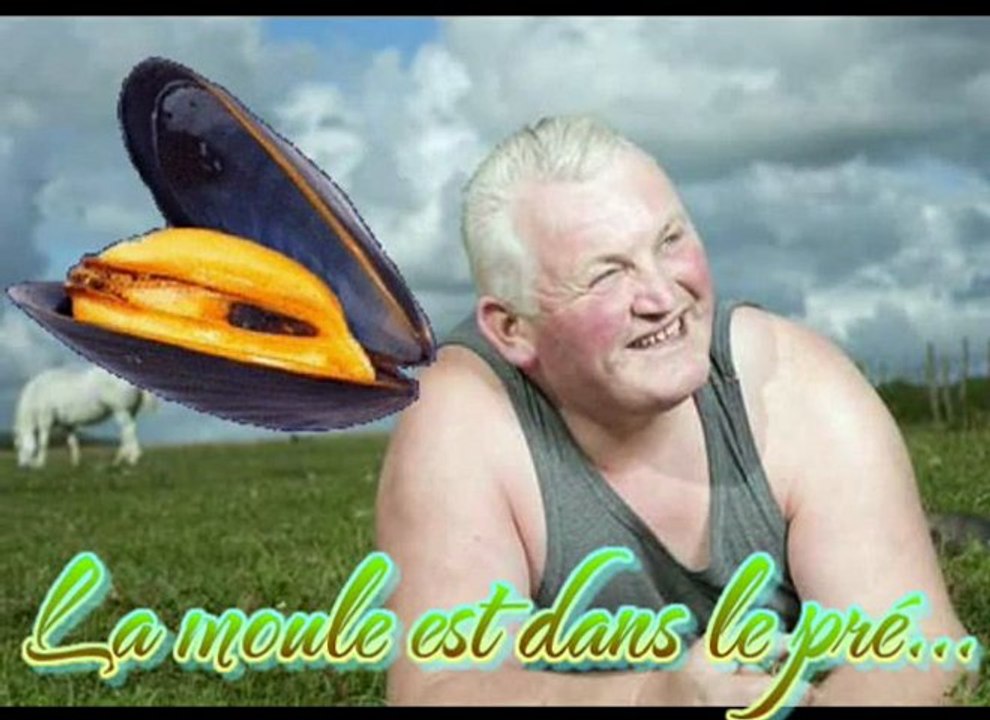 La moule est dans le pré