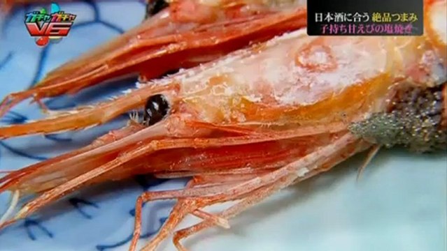 gachagacha V6-20130219