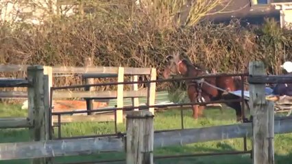 BUENA DE BLONDEL EN PISTE