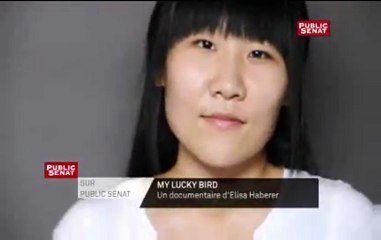 Bande Annonce : "My lucky bird"