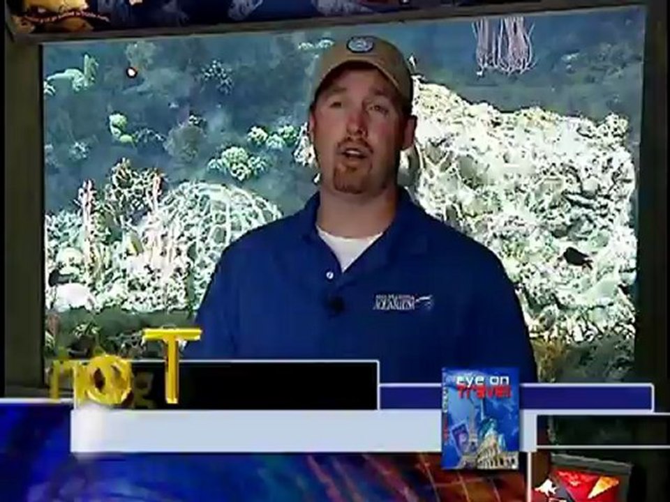 Florida Aquarium Part 1