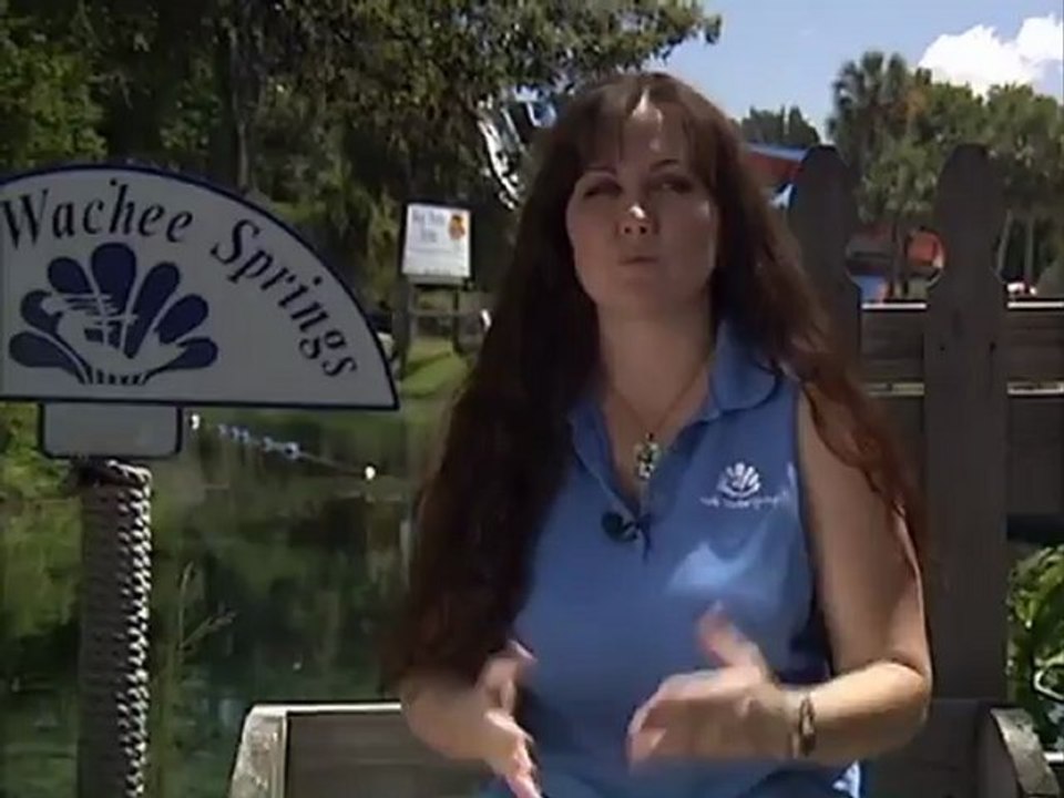 Weeki Wachee Mermaids Part 2