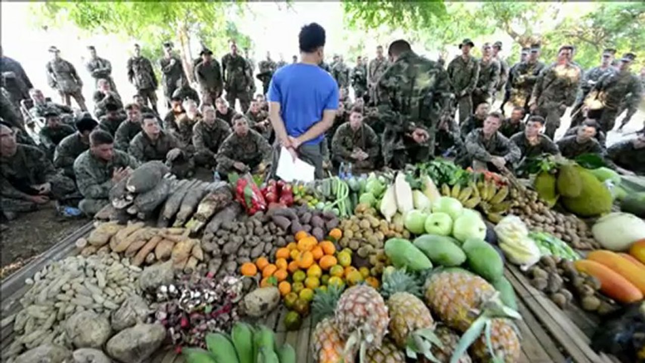 Marines trinken kobra-blut - im echten "dschungelcamp"