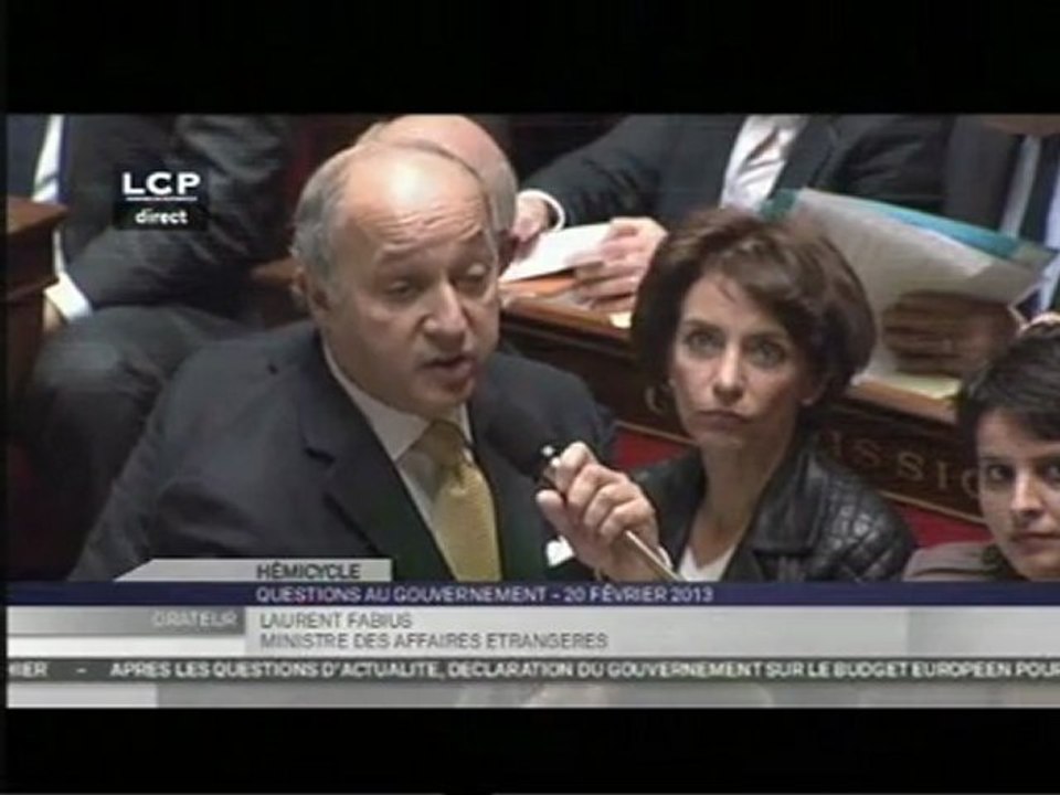 Prise d'otages au Cameroun - Laurent Fabius à l'Assemblée Nationale (20/02/2013)