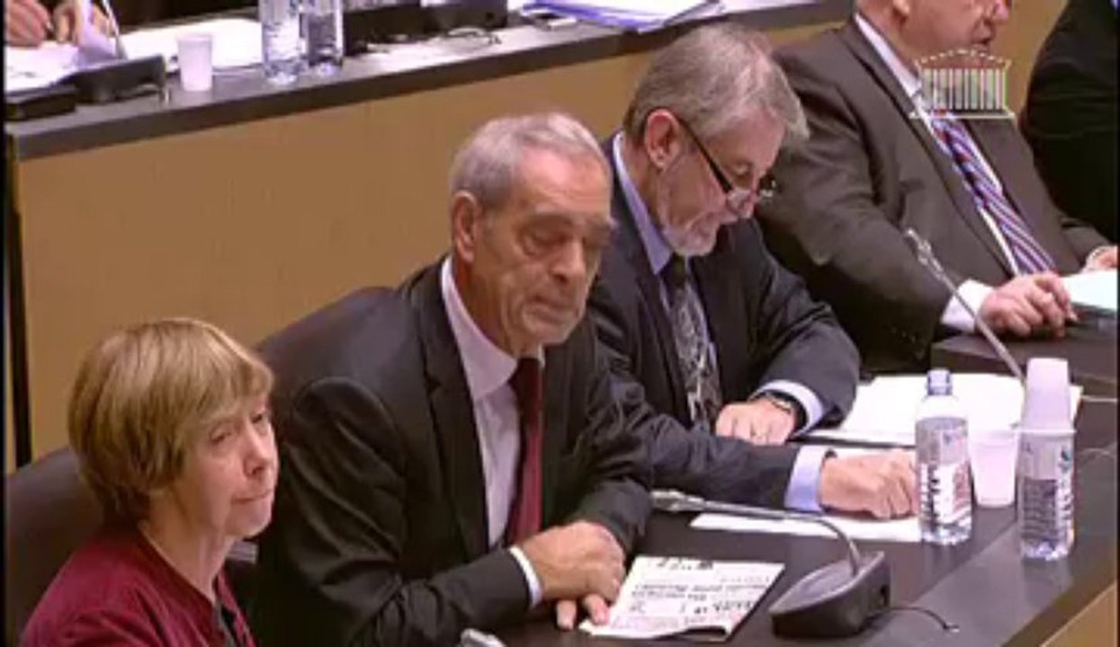 Assemblée nationale - Budget (commission élargie) : crédits 2013 Mission Aide publique au développement