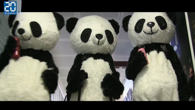 Pandathlon 2013, 20Minutes se lance dans l'aventure.