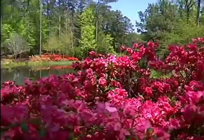 Callaway Gardens Pine Mtn, GA