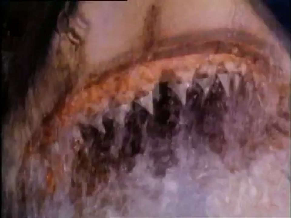 JAWS THE REVENGE Trailer
