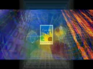 Gaylord Palms Resort and Convention Center Part 4