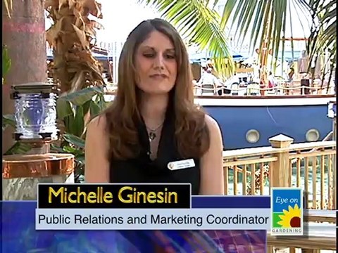 Gaylord Palms Resort and Convention Center Part 2