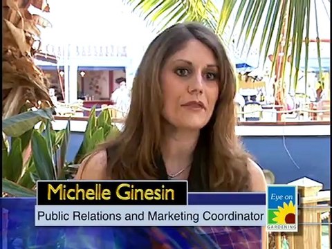 Gaylord Palms Resort and Convention Center Part 1