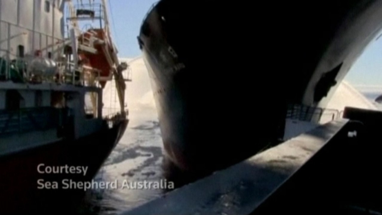 Protesters say Japanese whaling ship rammed its vessel