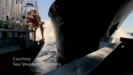 Protesters say Japanese whaling ship rammed its vessel