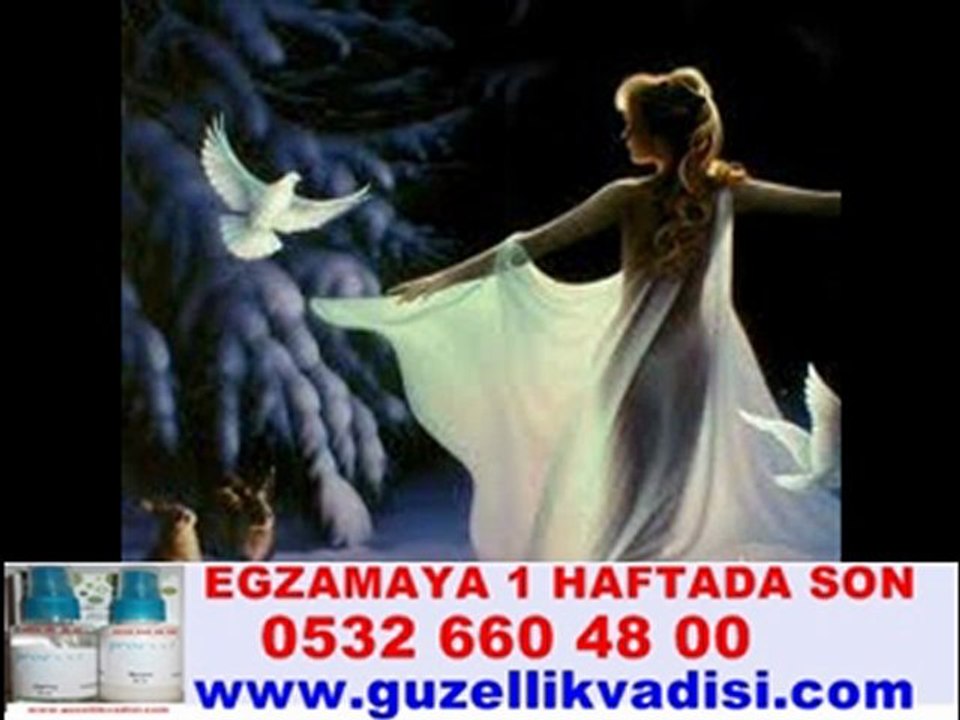 BİR AYRILIK ŞARKISI-ALPAY