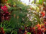 Cypress Botanical Gardens Part 3