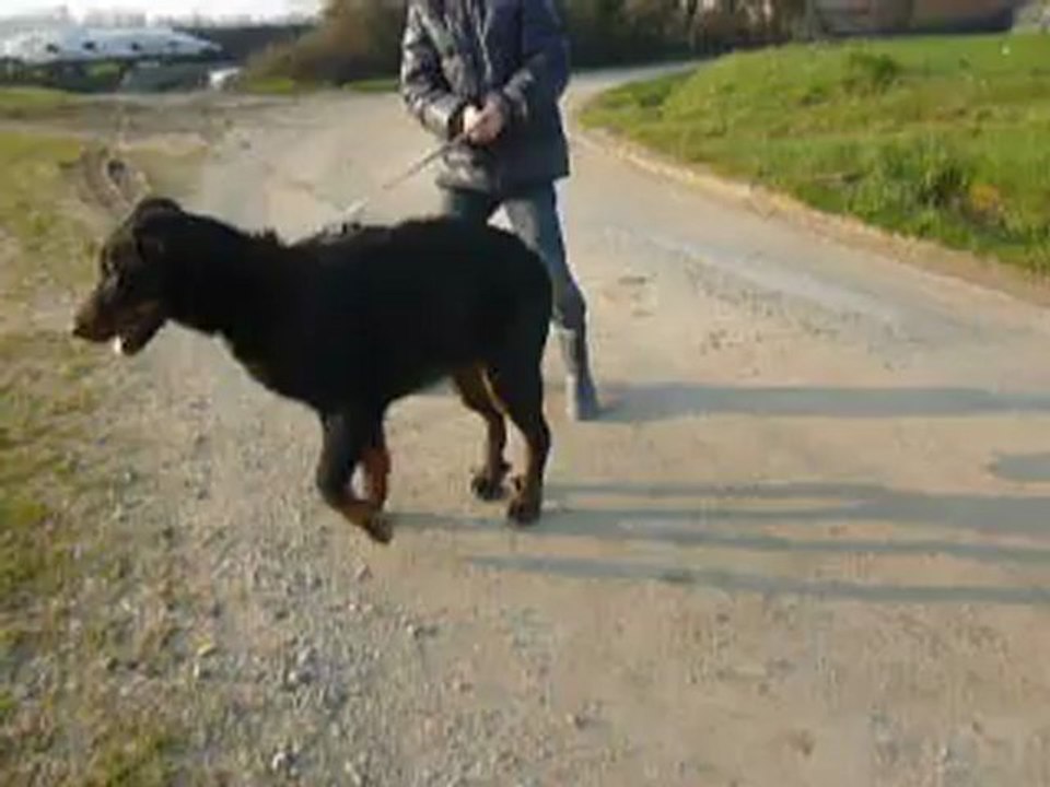Herge 20fev