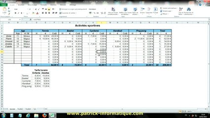 Tuto Excel 2010 - Masquer les valeurs zéro - Extrait