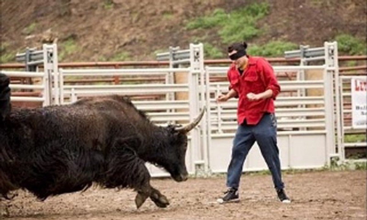 Jackass 3D watch online www.hdmoviespool.com