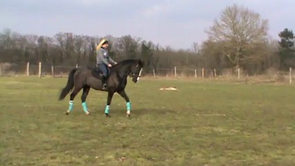 Séance sur le plat.3