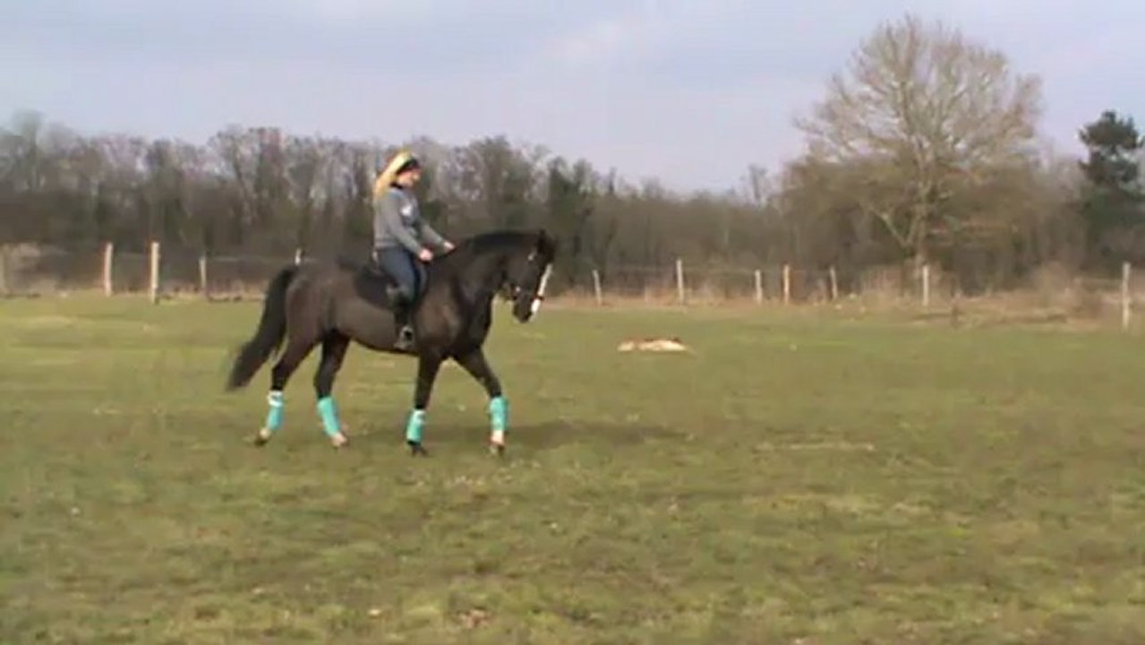 Séance sur le plat.3