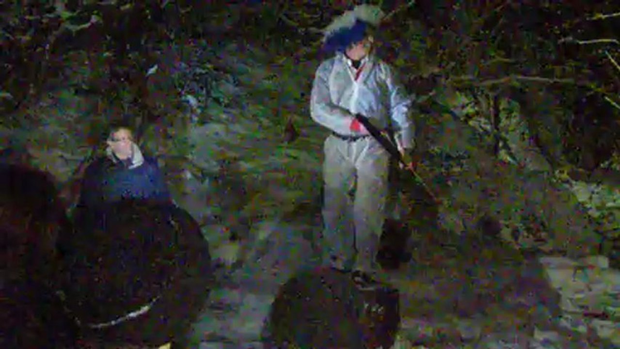 chritophe sur son arbre percher