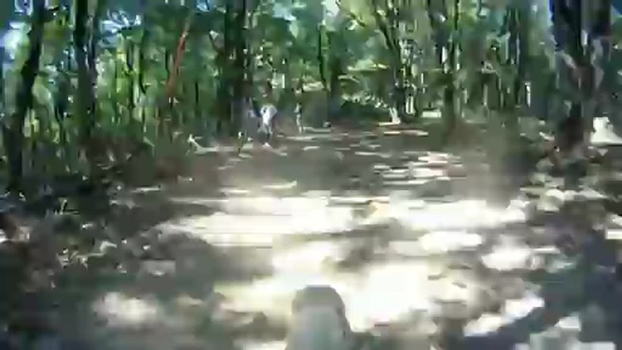 Aventuri pe bicicleta - Fast Forward (5x) - Arad Bike Race : deal Siria - Casoaia