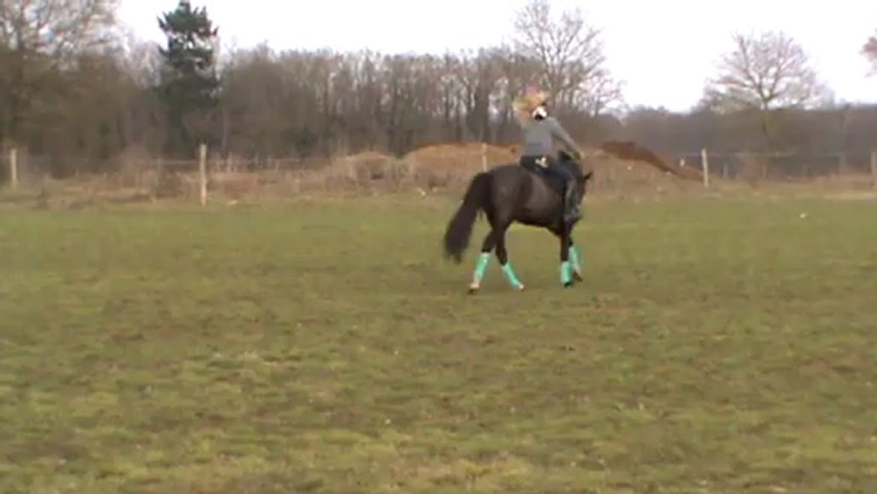 Séance sur le plat.5