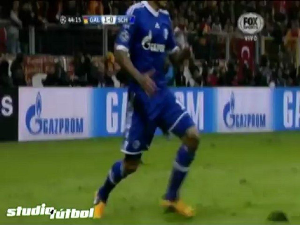 Galatasaray 1 Schalke 04 1 Champions League
