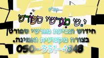 צביעת מגרשי ספורט