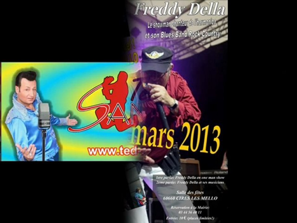 AFFICHES diverses CONCERTS 2013