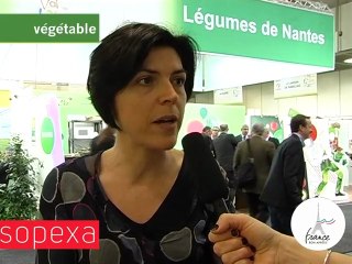 Service Promotion des Pays de la Loire (SPPL)