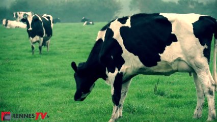 Notre dame des landes : l'occupation continue et se radicalise