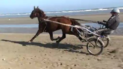 TONIC CORDIERE SUR LA PLAGE DE STE MARIE