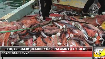 Balıkçının yüzü palamut sürpriziyle güldü ...