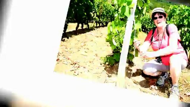 Balade Gourmande 2012 à Cruet dans le vignoble de la Combe de Savoie