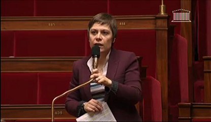 Intervention d'Audrey Linkenheld sur le scrutin binominal pour les conseillers départementaux