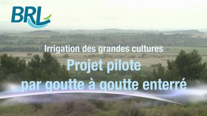 Irrigation des grandes cultures - Projet pilote par goutte à goutte enterré