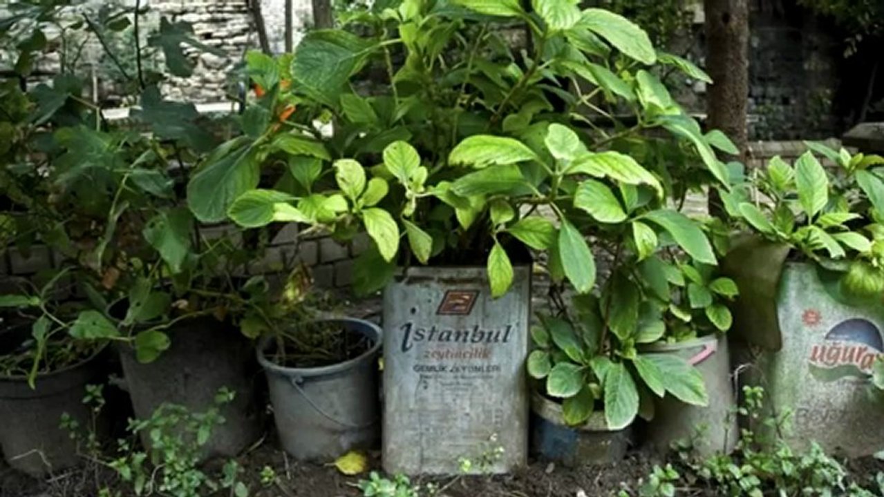 Against Divided Cities in Europe