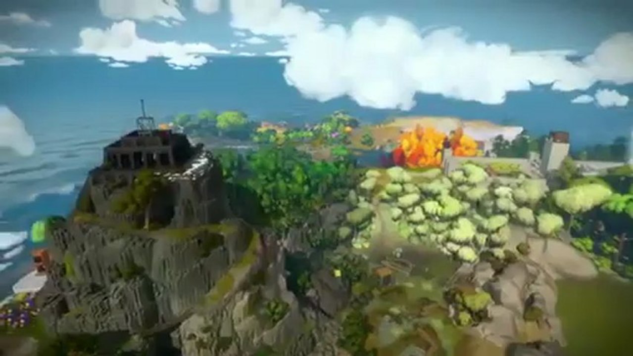 The Witness (PS4)