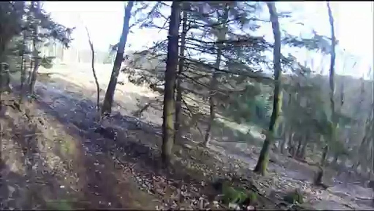 Le grésil
