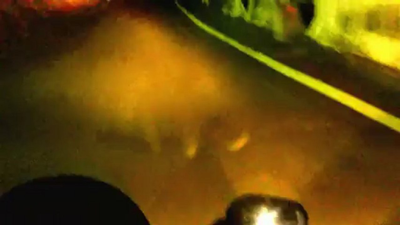 Ninja 650 VS Ninja 250   (M13 and Brad)