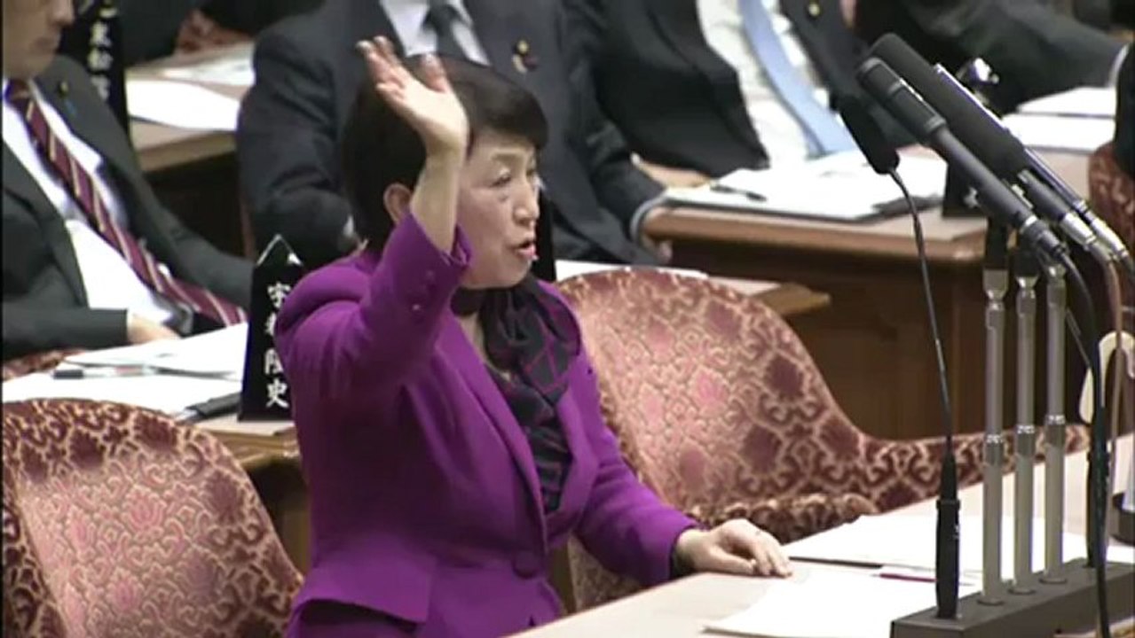 20130221 参議院予算委員会 (社民党）福島みずほ 東電の虚偽報告、生活保護