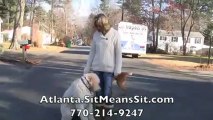 Atlanta Dog Obedience Training - Sit Means Sit - Murphy