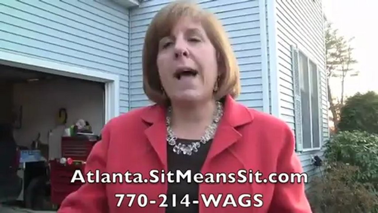 Atlanta Board & Train - Sit Means Sit Dog Obedience - Diamon