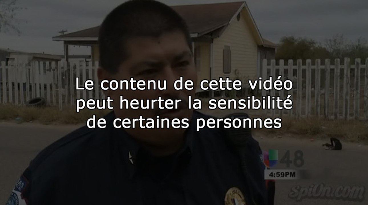 Voiture de police tue accidentellement un chien (Live TV)