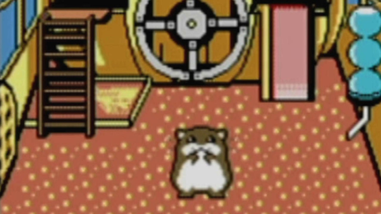 CGR Undertow - HAMSTER PARADISE 2 review for Game Boy Color