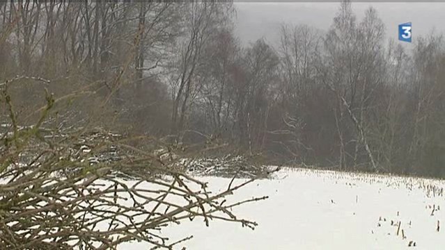 Des idées de campagne 4/5: le bois, une matière première à exploiter pour les communes rurales