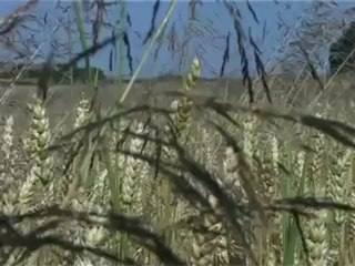 Ludwika von Kleist cz. 1_3