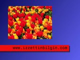 Kırmızı portakalım - İzzettin Bilgin