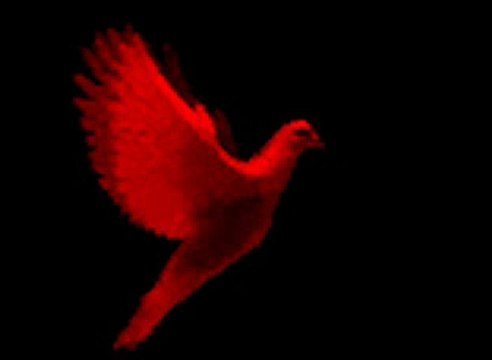 Kıvırcık ALİ Acılar İçinde Kaldım (((